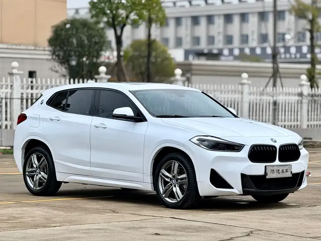 BMW X2 2022 из CN, фото 5