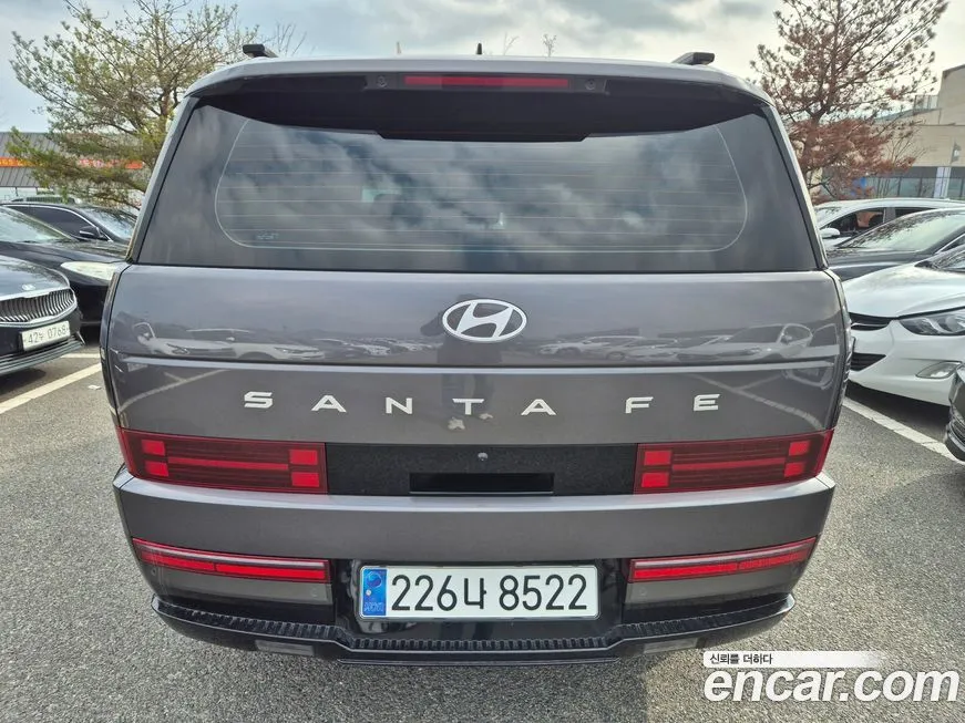 Hyundai Santafe — фото 10