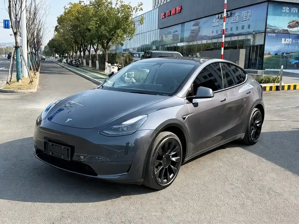 Tesla Model Y — фото 1