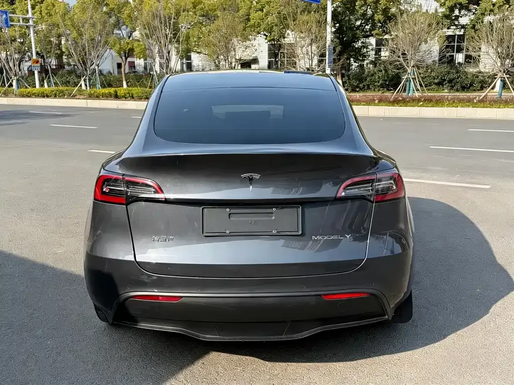 Tesla Model Y — фото 9