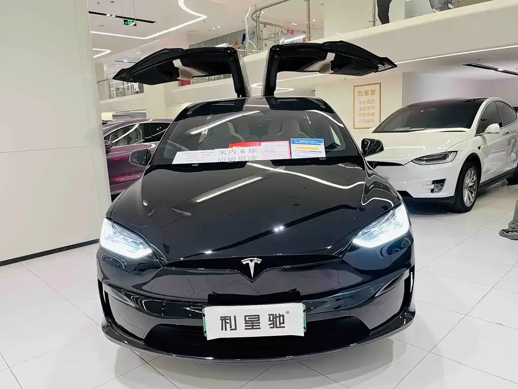 Tesla Model X 2023 из CN, фото 10