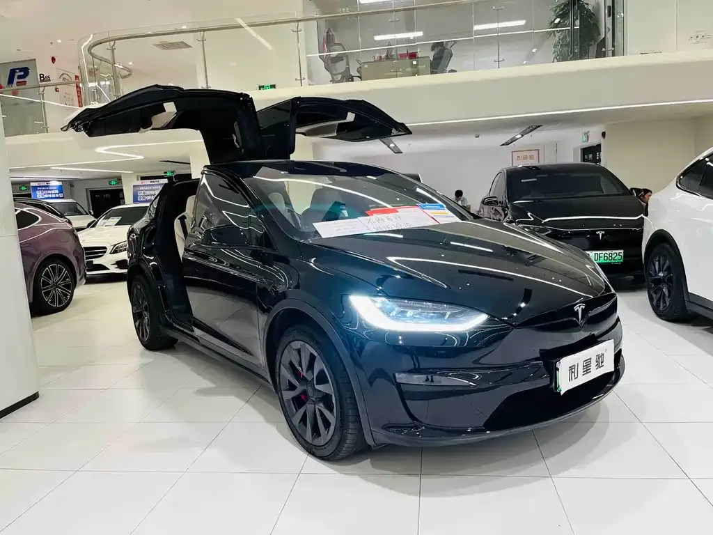 Tesla Model X 2023 из CN, фото 9