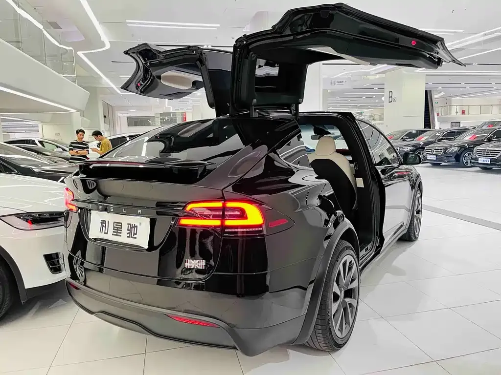 Tesla Model X 2023 из CN, фото 8