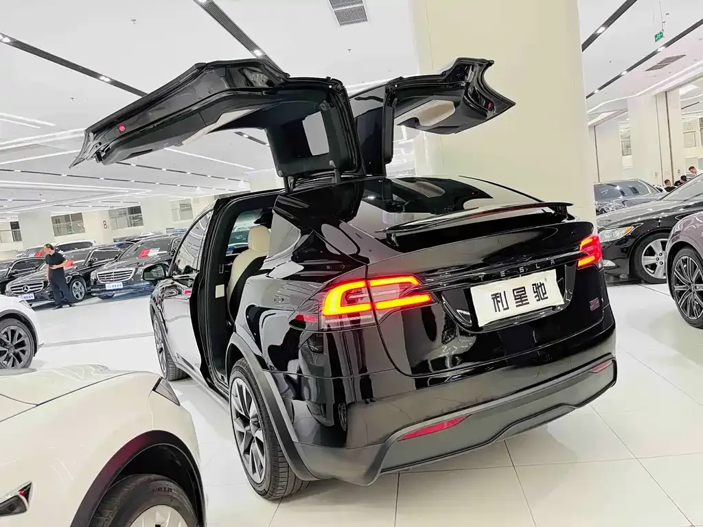 Tesla Model X 2023 из CN, фото 6