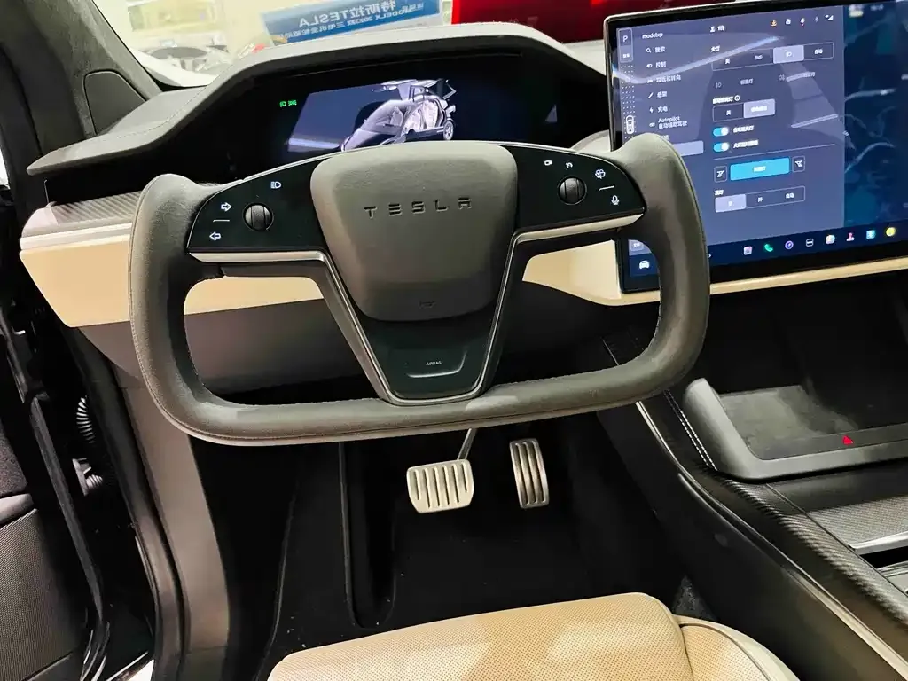 Tesla Model X 2023 из CN, фото 5