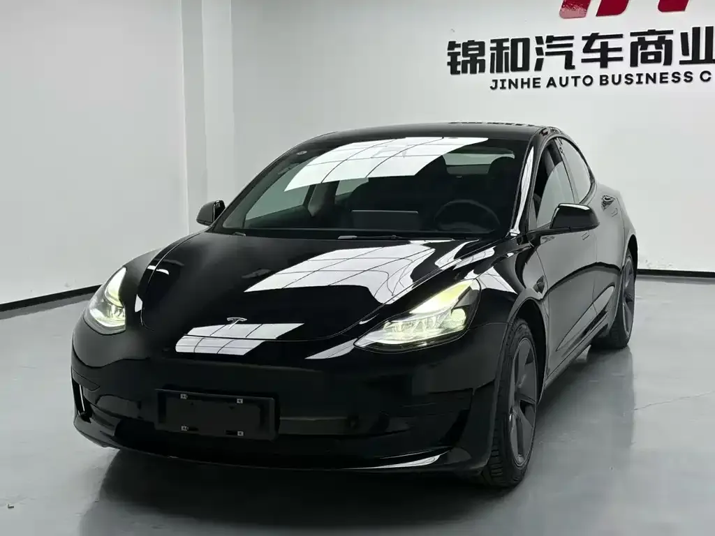 Tesla Model 3 2021 из CN, фото 1