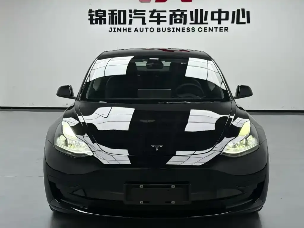 Tesla Model 3 2021 из CN, фото 2