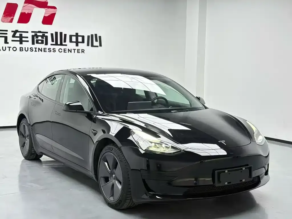 Tesla Model 3 2021 из CN, фото 9