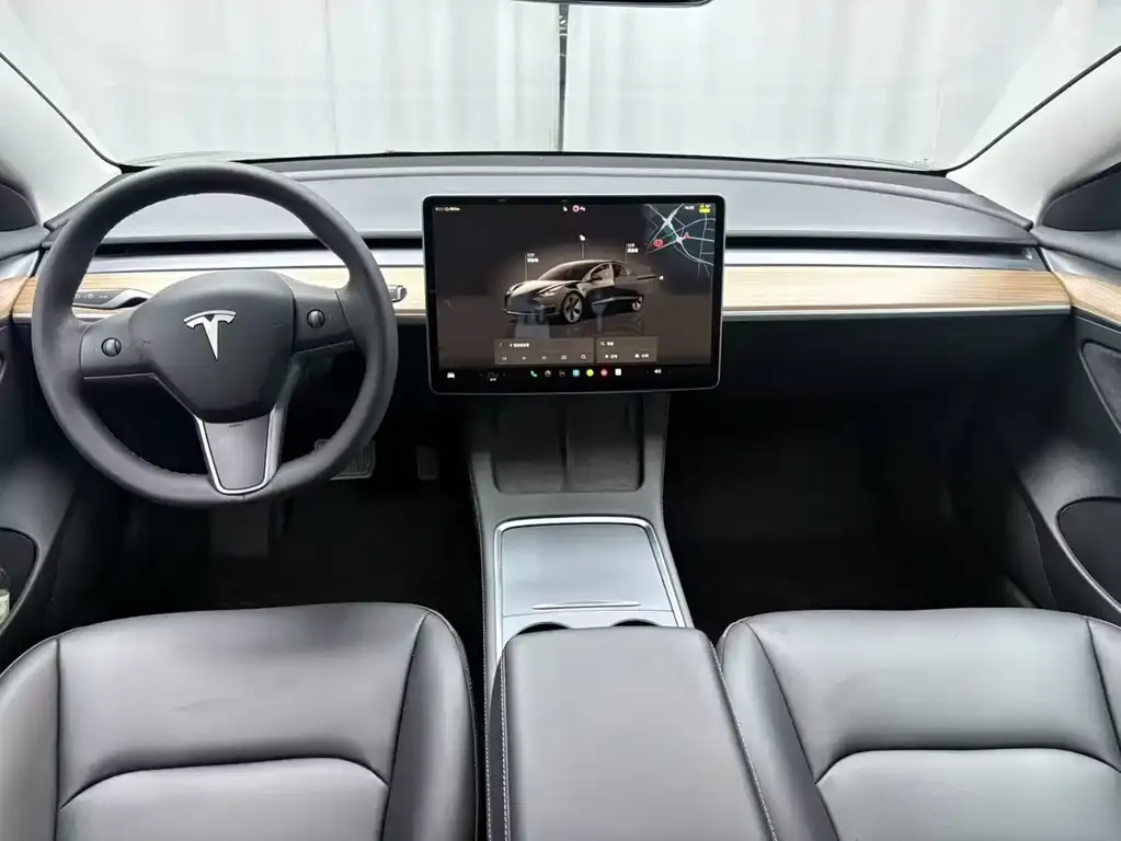 Tesla Model 3 2021 из CN, фото 8