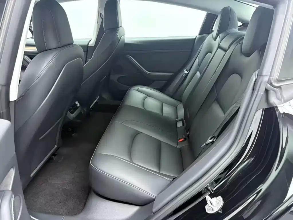 Tesla Model 3 2021 из CN, фото 7