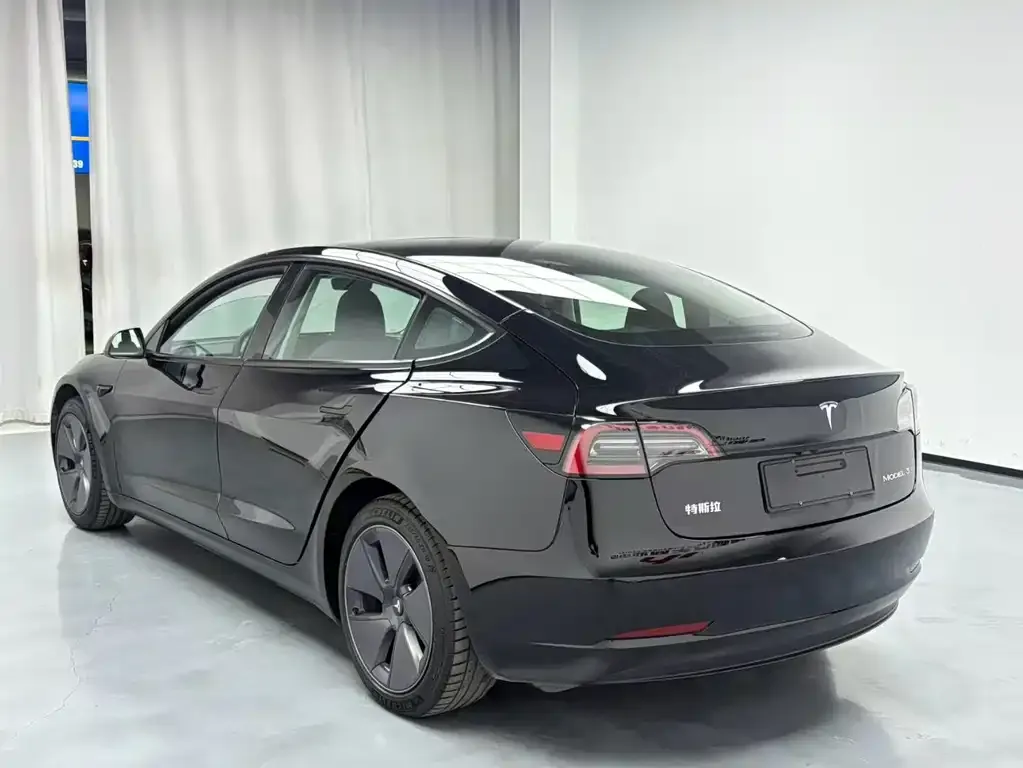 Tesla Model 3 2021 из CN, фото 4