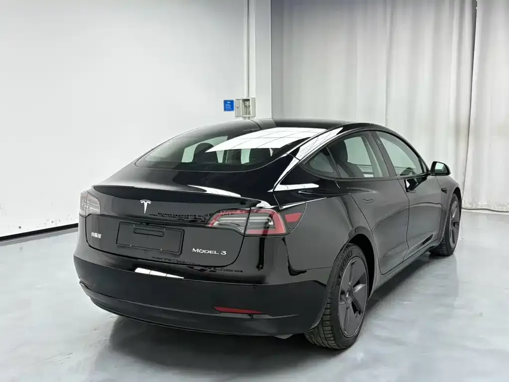 Tesla Model 3 2021 из CN, фото 6