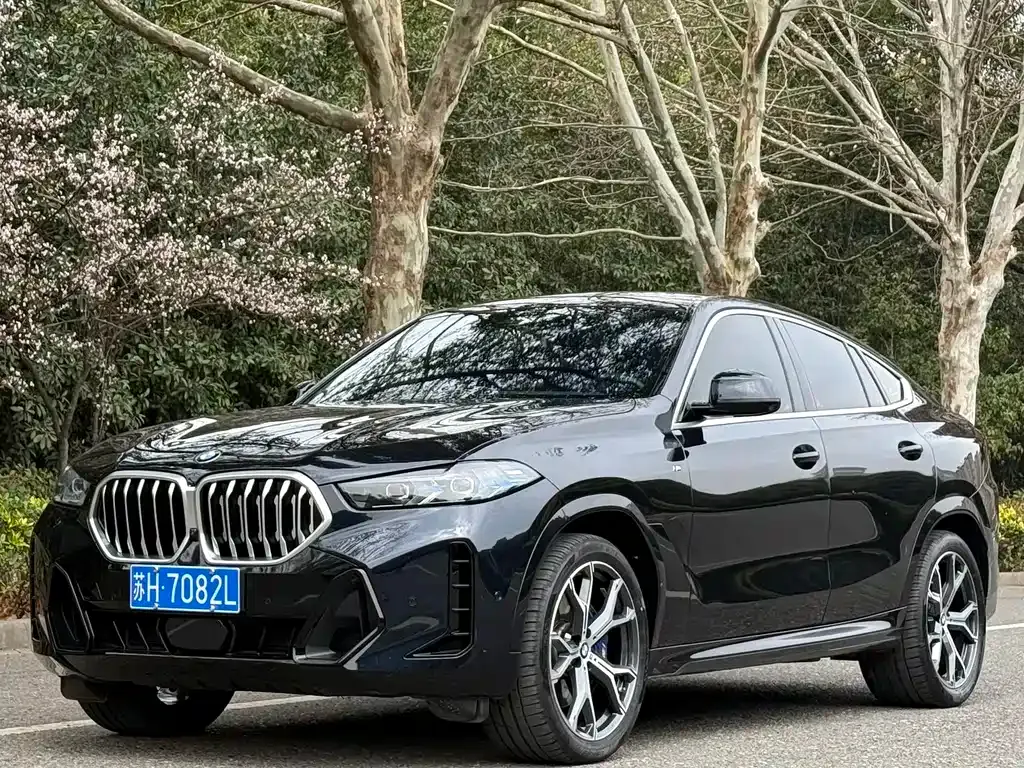BMW X6 — фото 1