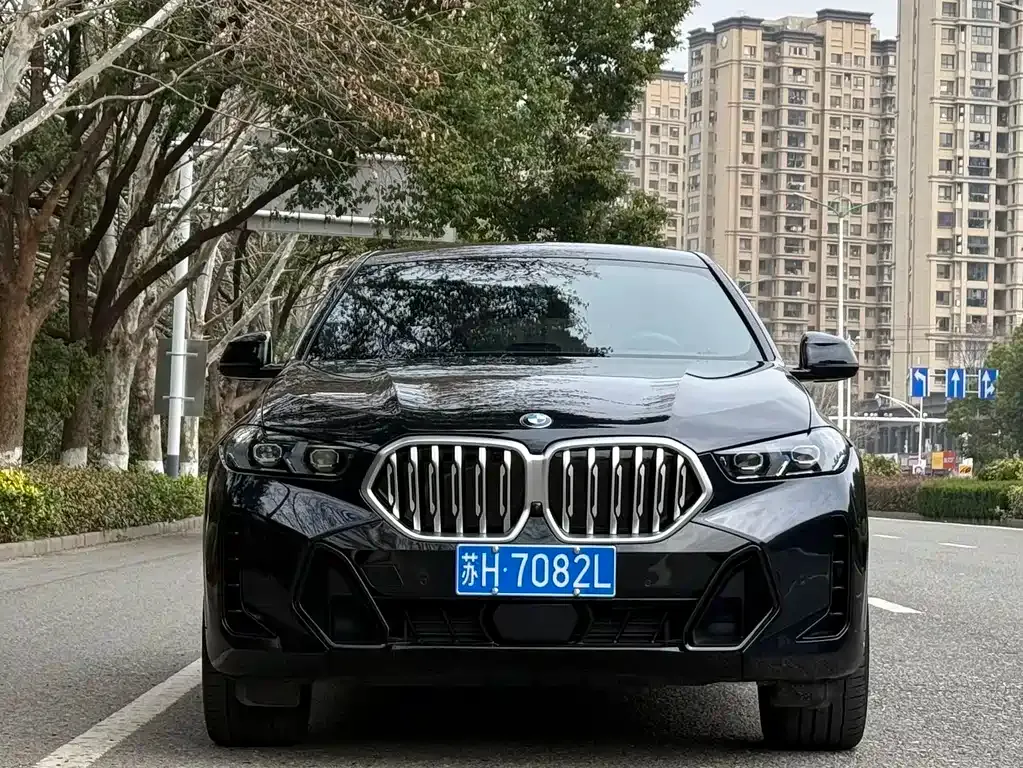 BMW X6 — фото 2