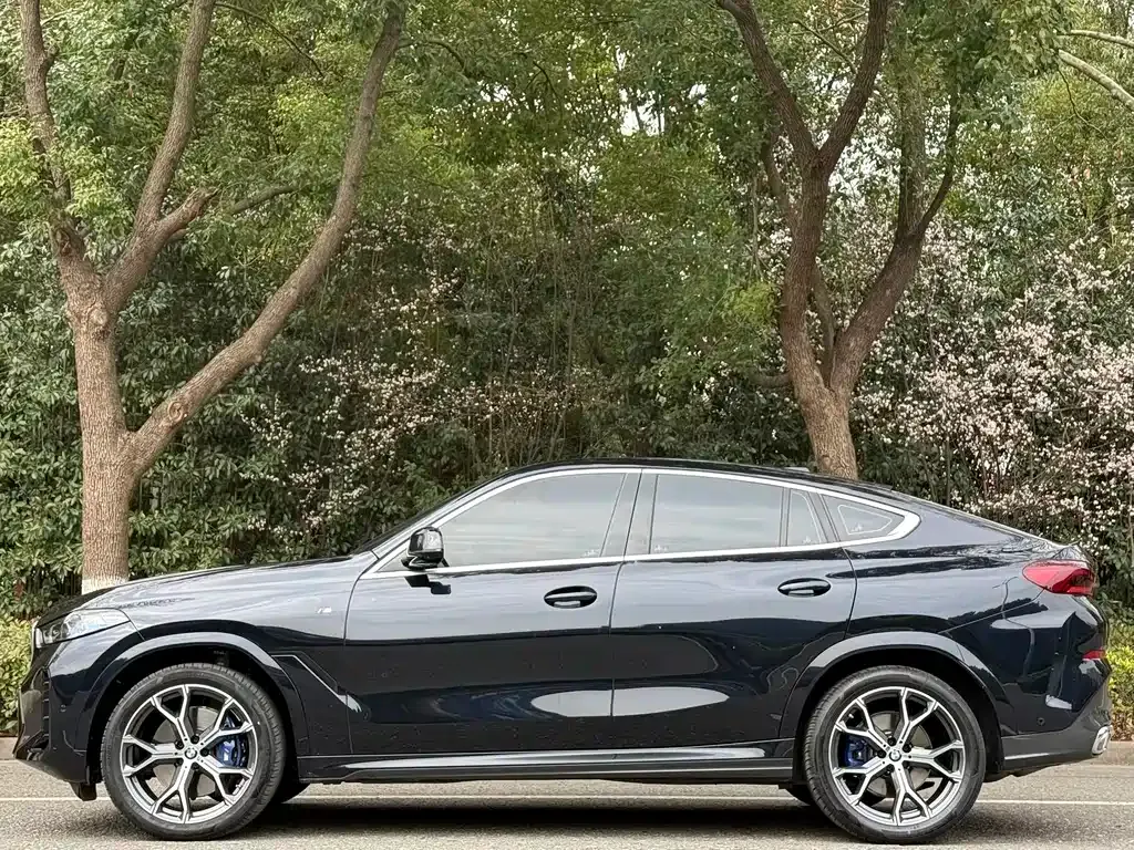 BMW X6 — фото 9