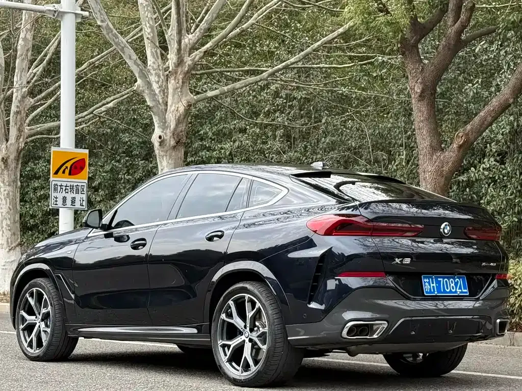 BMW X6 — фото 7