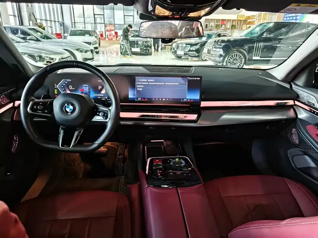 BMW 5 Series 2024 из CN, фото 6
