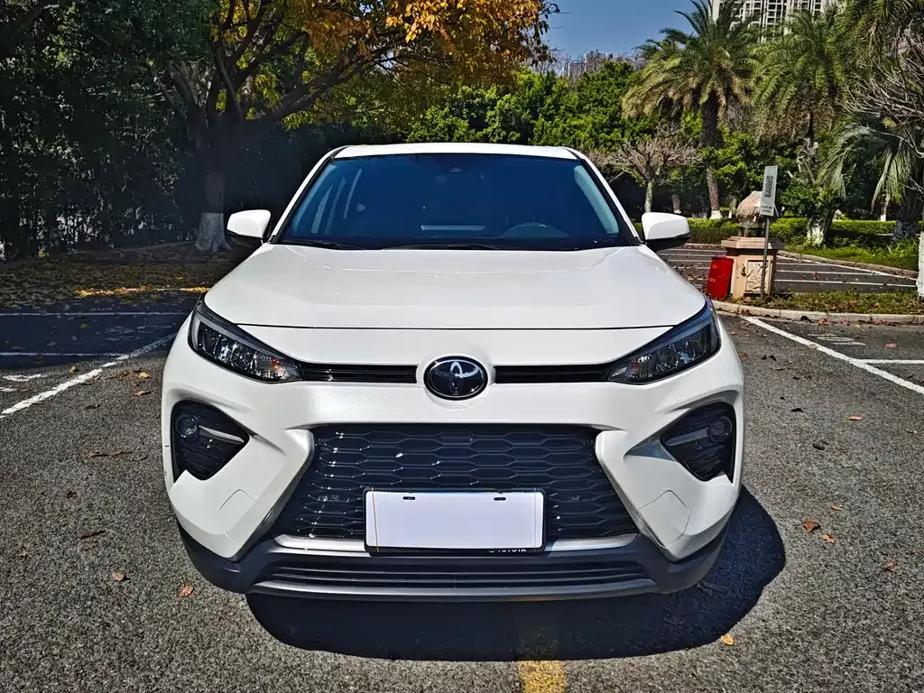 Toyota Wildlander 2023 из CN, фото 5