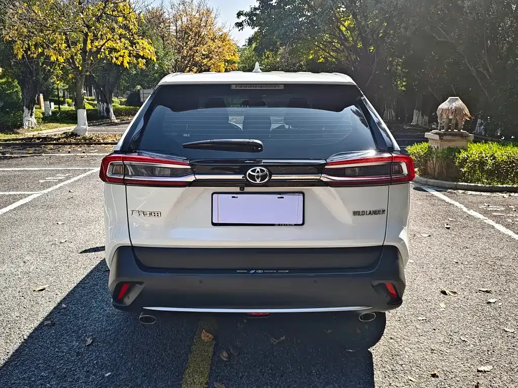 Toyota Wildlander 2023 из CN, фото 6