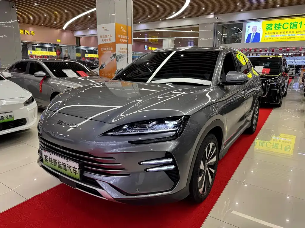 BYD PLUS New Energy — фото 1