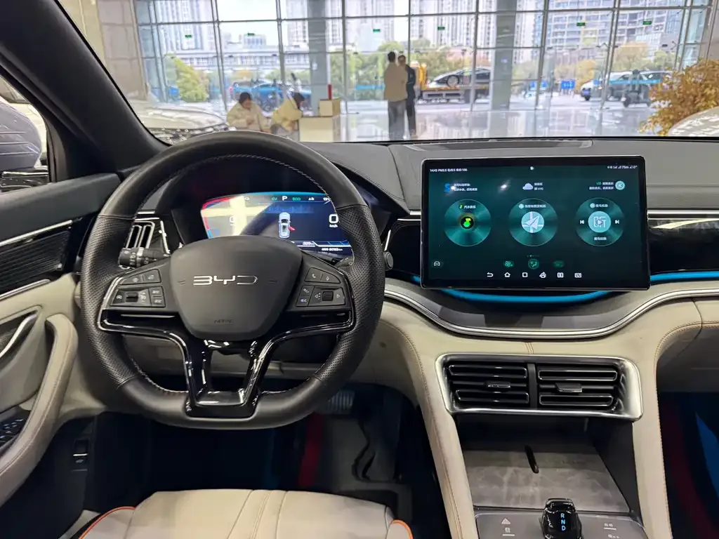 BYD PLUS New Energy — фото 10
