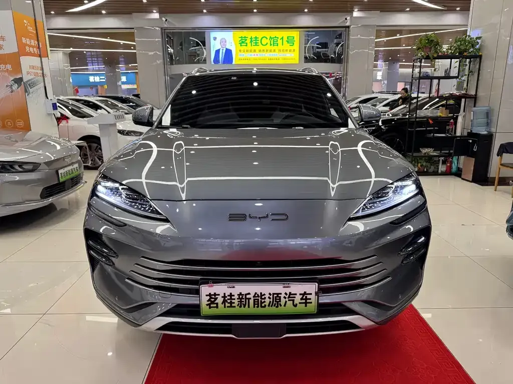 BYD PLUS New Energy — фото 2