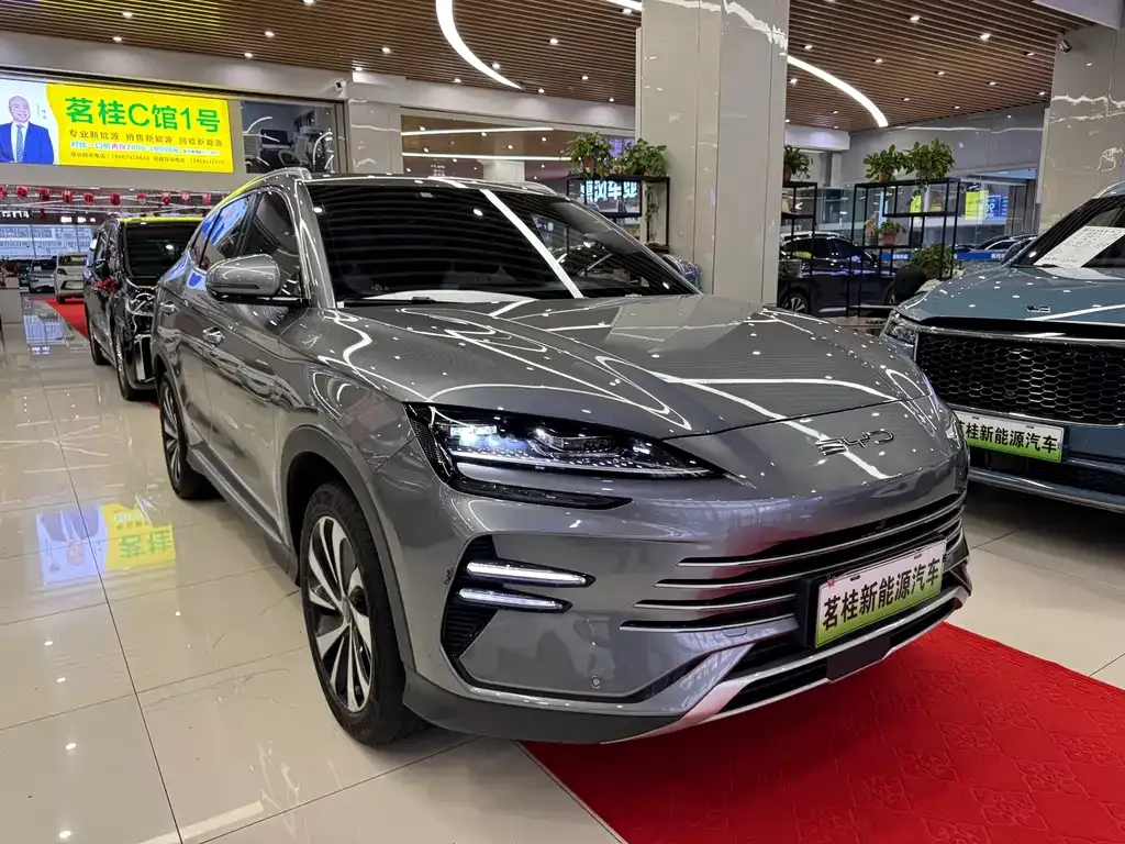 BYD PLUS New Energy — фото 3