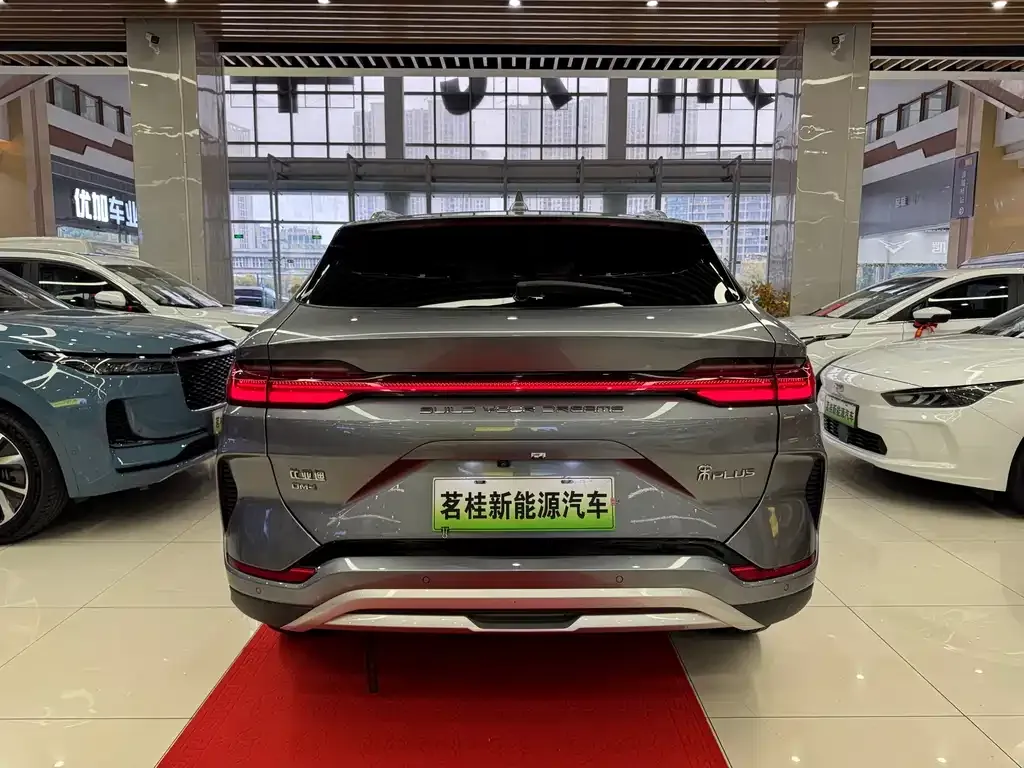 BYD PLUS New Energy — фото 4