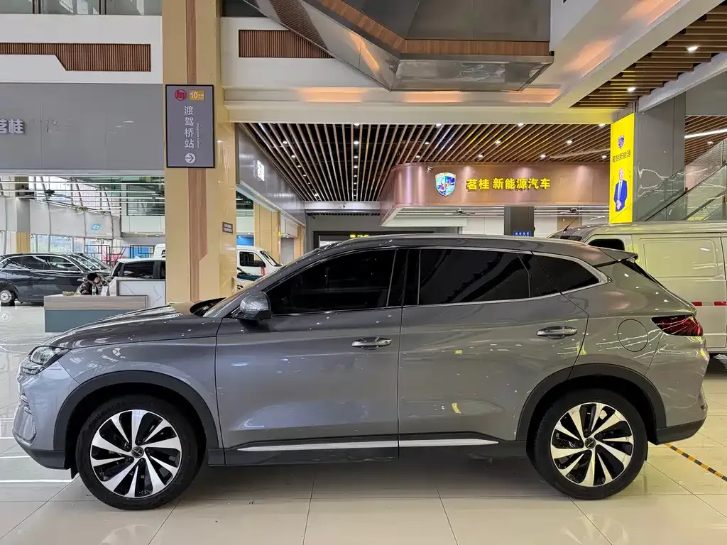 BYD PLUS New Energy — фото 8