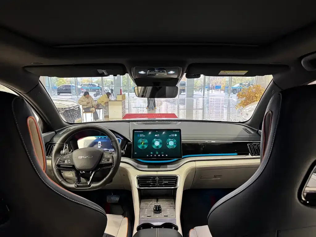 BYD PLUS New Energy — фото 6