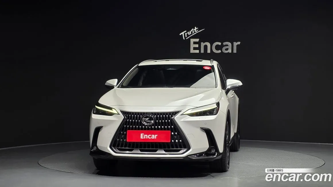 Lexus NX 2025 из KR, фото 5