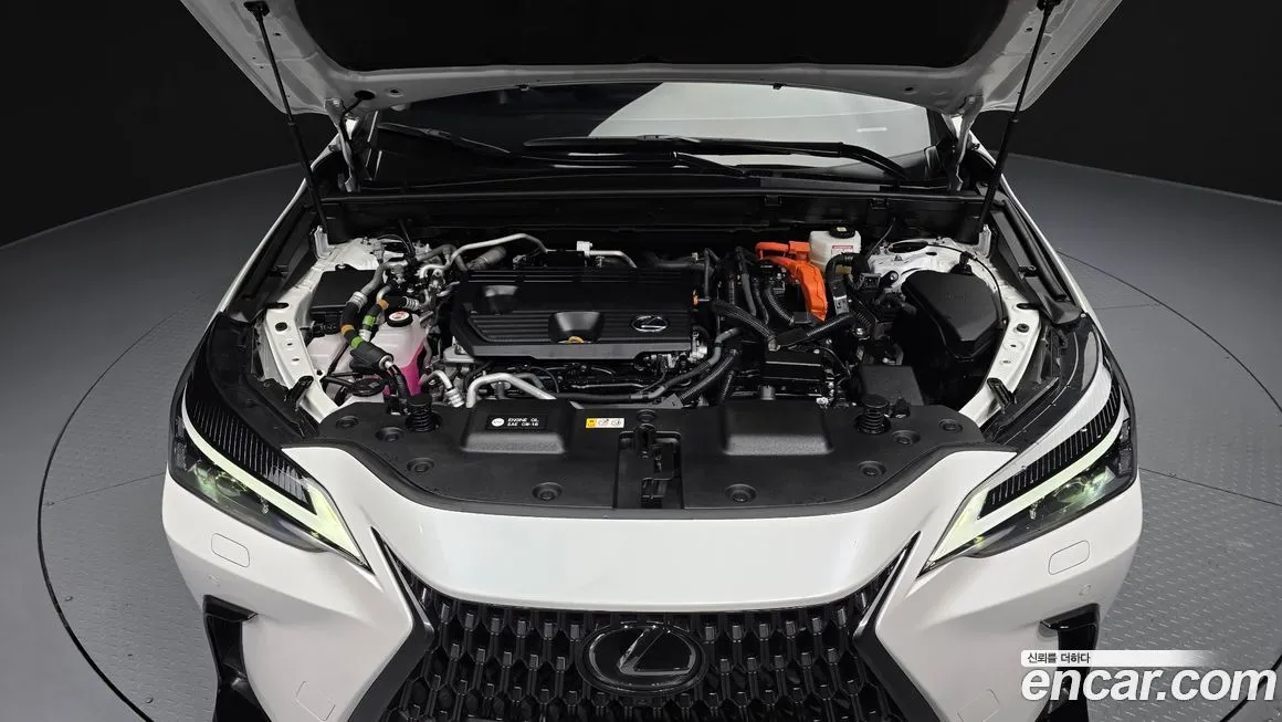 Lexus NX 2025 из KR, фото 9