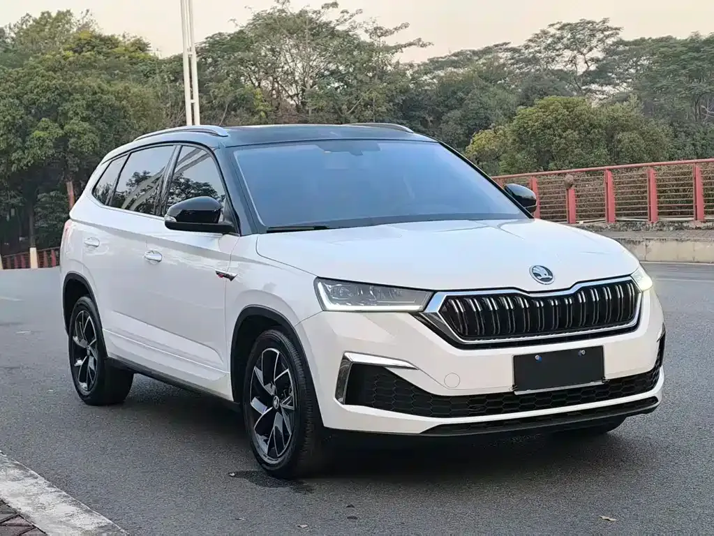 Skoda Kamiq 2022 из CN, фото 10