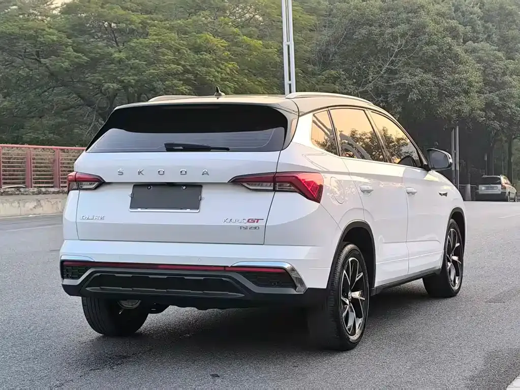 Skoda Kamiq 2022 из CN, фото 4