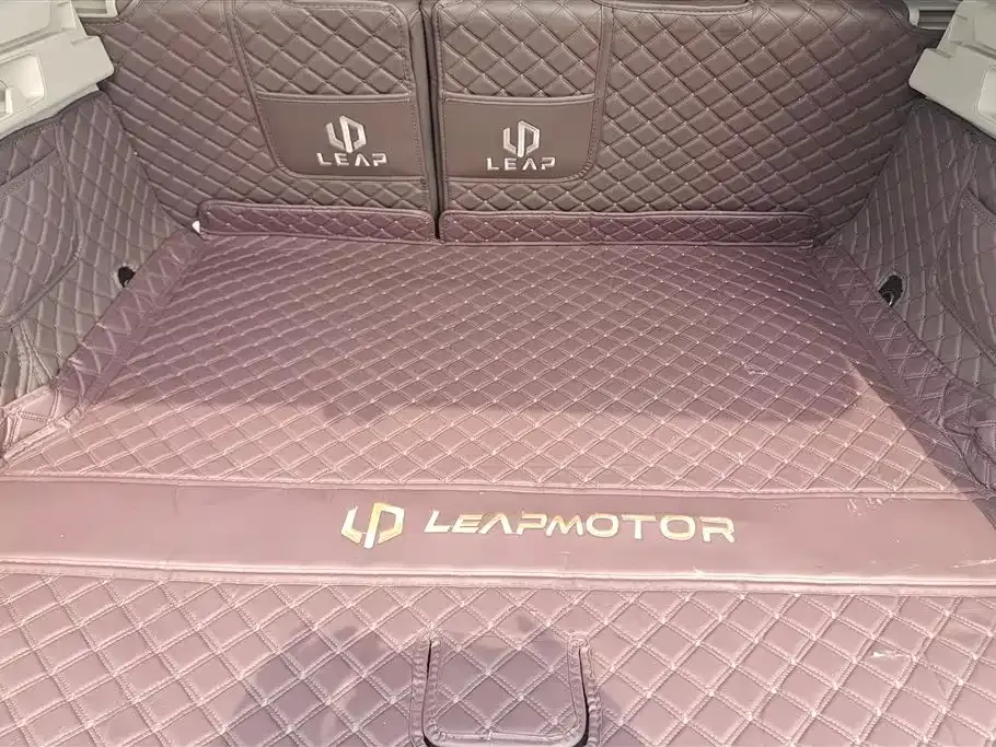 Leapmotor C11 2023 из CN, фото 6