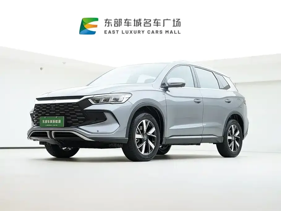 BYD Pro New Energy 2024 из CN, фото 1
