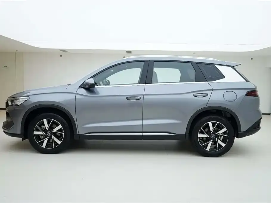 BYD Pro New Energy 2024 из CN, фото 10