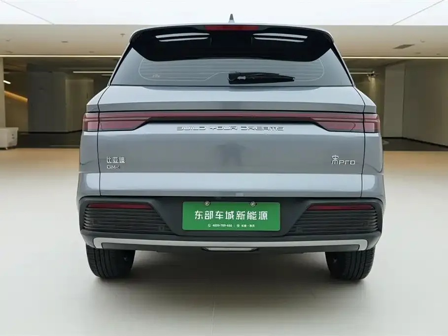 BYD Pro New Energy 2024 из CN, фото 2