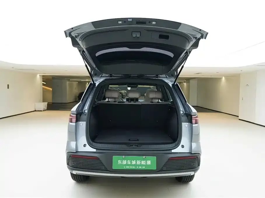 BYD Pro New Energy 2024 из CN, фото 6