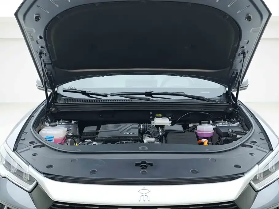 BYD Pro New Energy 2024 из CN, фото 9