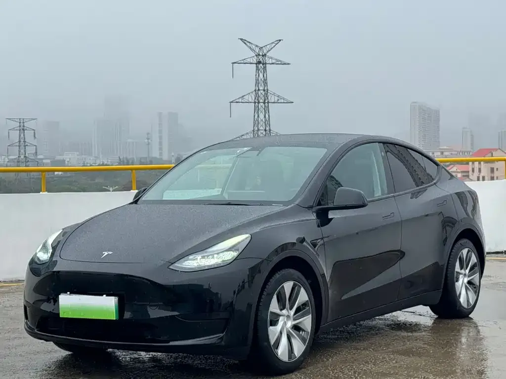 Tesla Model Y — фото 1