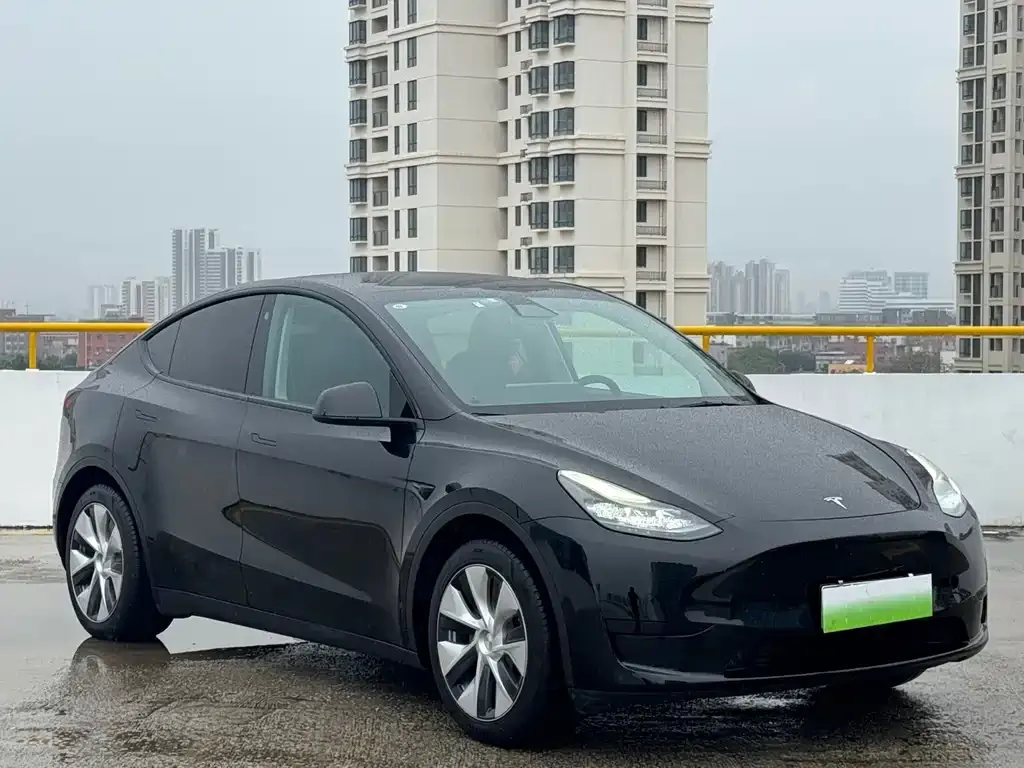 Tesla Model Y — фото 3