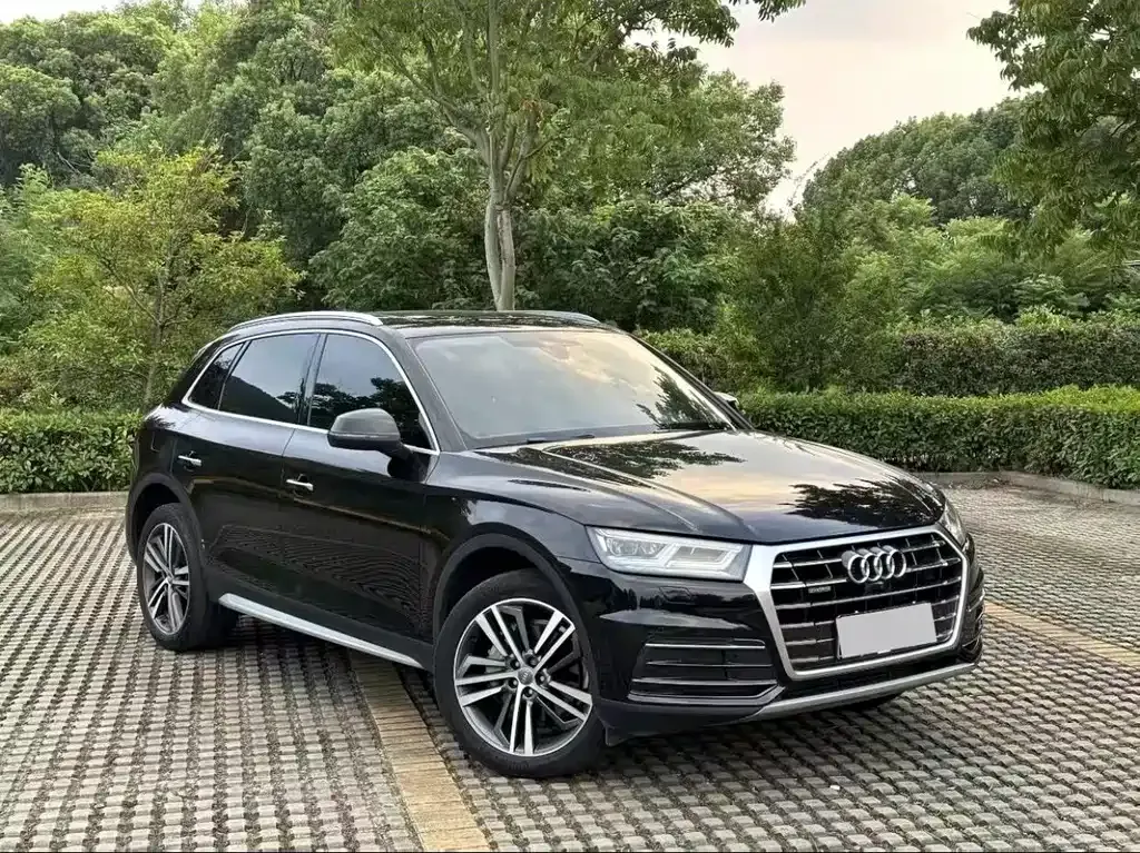 Audi Q5L 2021 из CN, фото 7