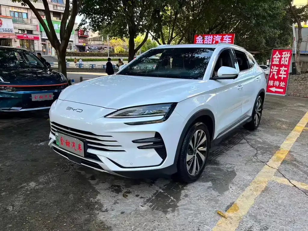 BYD PLUS New Energy — фото 1