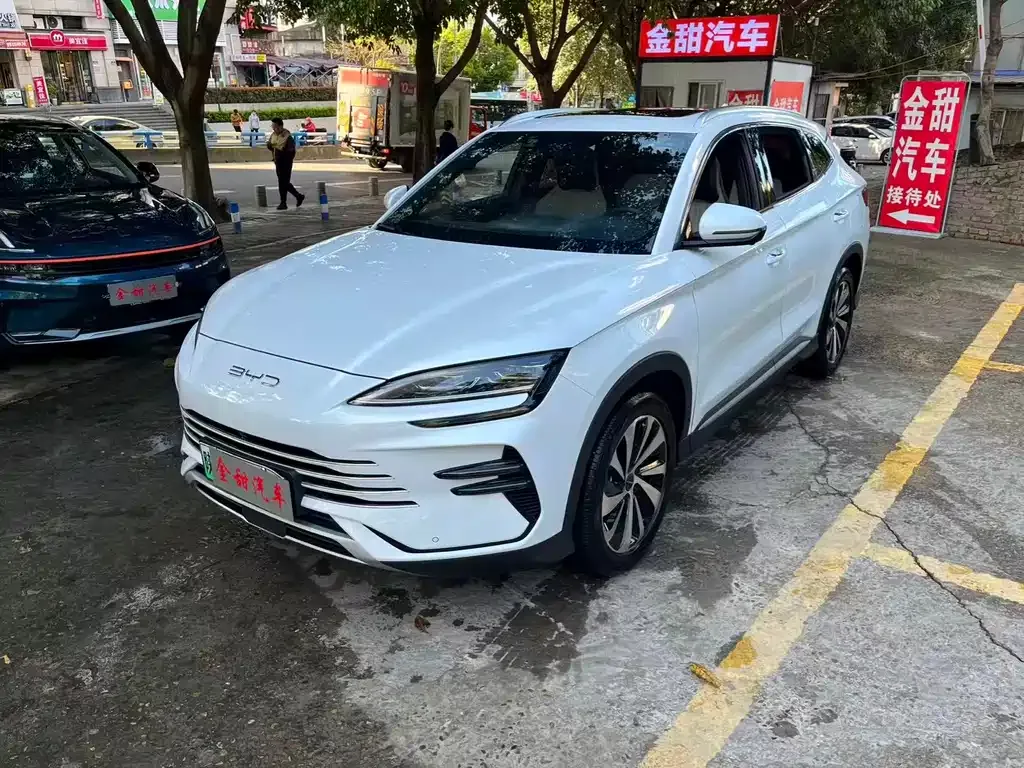 BYD PLUS New Energy — фото 5