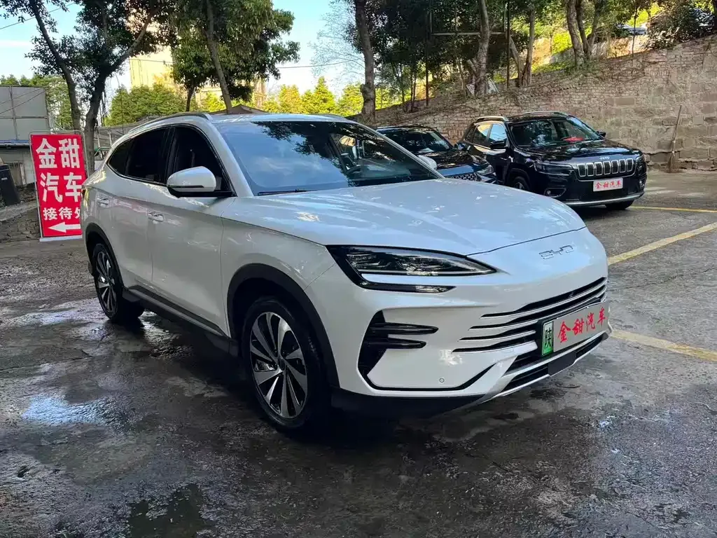 BYD PLUS New Energy — фото 10