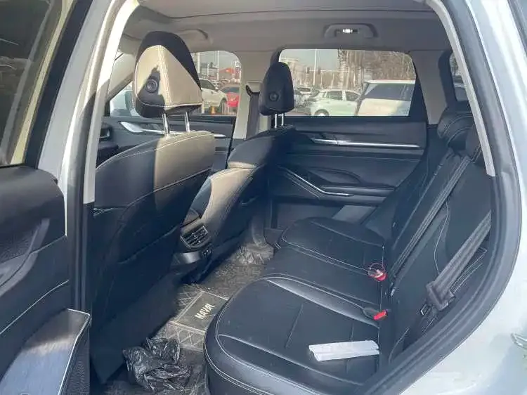 Haval H6 New Energy 2023 из CN, фото 3