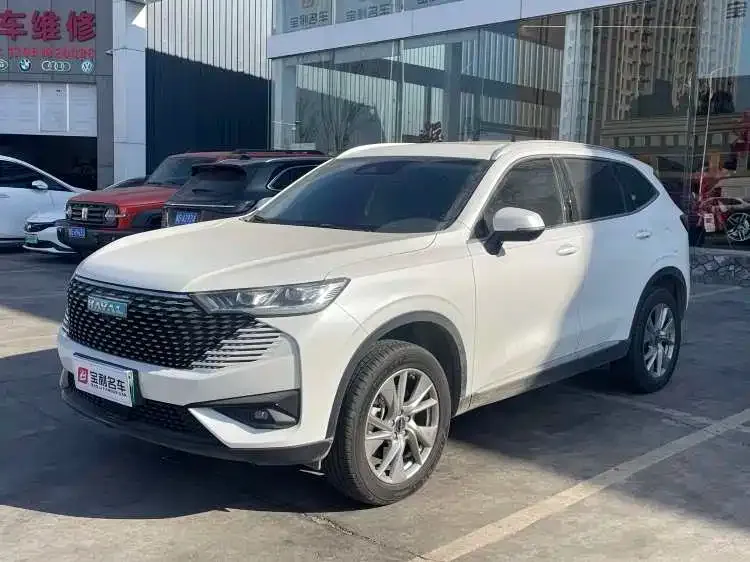 Haval H6 New Energy 2023 из CN, фото 8