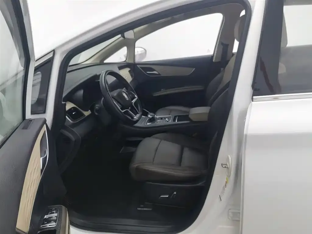 BYD MAX New Energy 2023 из CN, фото 6