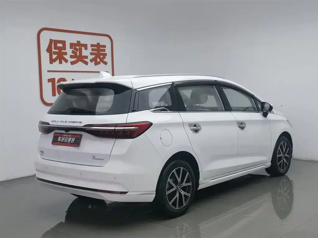 BYD MAX New Energy 2023 из CN, фото 4